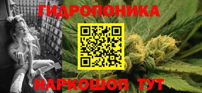гидропоника Можга