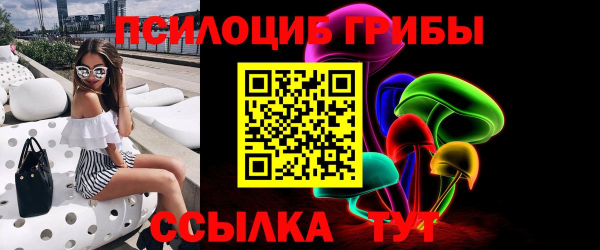 Галлюциногенные грибы Psilocybe  Ханты-Мансийск 