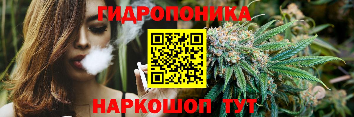 Шишки марихуана семена Ханты-Мансийск